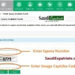 Easy Steps to Check Iqama Funds on MOI website-SaudiExpatriate.com