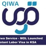 Qiwa Service