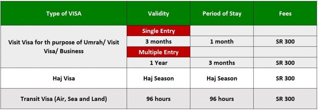 Multiple VISA with One year Visa Validity for SR 300-SaudiExpatriate.com
