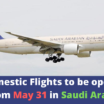 Domestic Flights to be opened from May 31