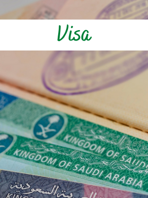 Illegal entry /smuggling may get SR 1 million fine